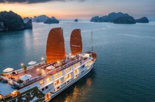 Indochina Sails Ha Long Bay