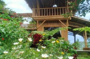 Lembah Cinta Mayungan