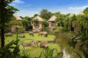 Mara River Safari Lodge Hotel