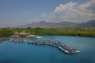 Mimpi Resort Menjangan