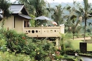 Pacung Indah Hotel