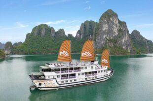 Paradise Peak Cruise