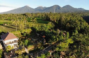 Pitanatri Guest House : where nature at it’s best