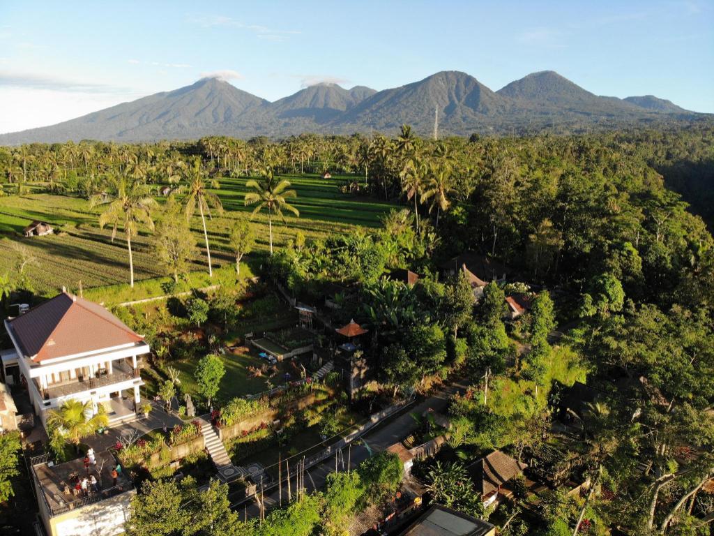 Pitanatri Guest House : where nature at it’s best