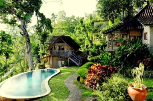 Prashanti Bali