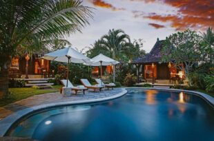 Rumah Capung Ubud Full Villa