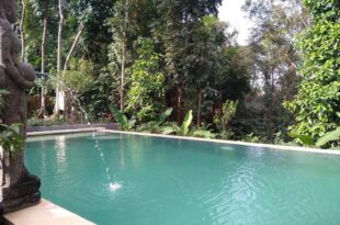 Sanga House (Balinese Concepts