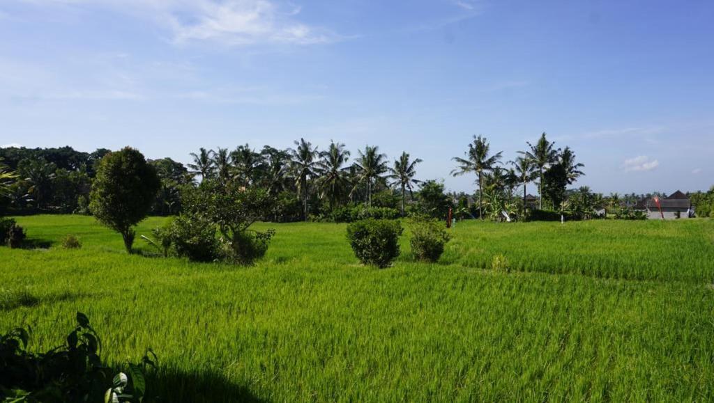 Sari Bamboo Bungalows