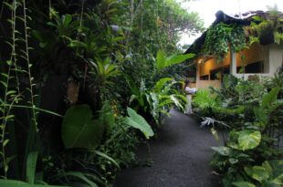 Sari Gong Guest House, A Trishula Collection