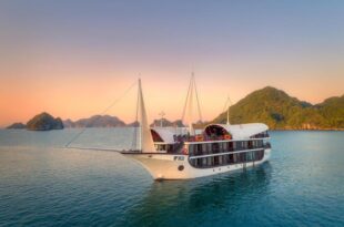 Sena Cruises – Wonder On Lan Ha Bay