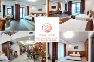 Swan Motel