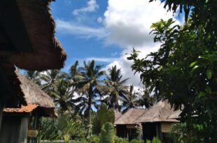 Taman Bintang Villa Ubud