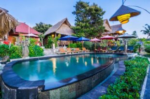 The Dafish Ceningan