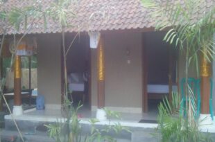Toke Menjangan