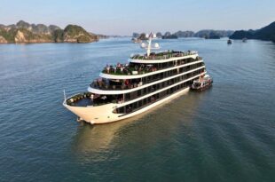 Venus Halong Cruises