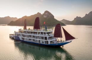 Verdure Lotus Luxury Cruise