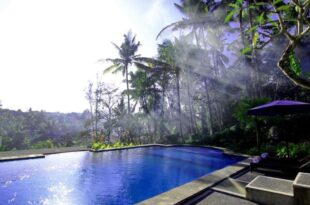 Villa Capung Mas