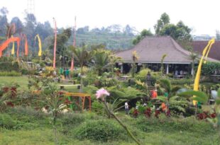 Warung Rekreasi Bedugul Hotel