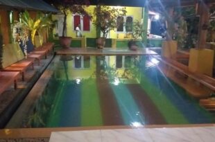 Alola inn