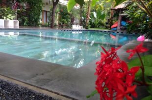 Arjuna Homestay