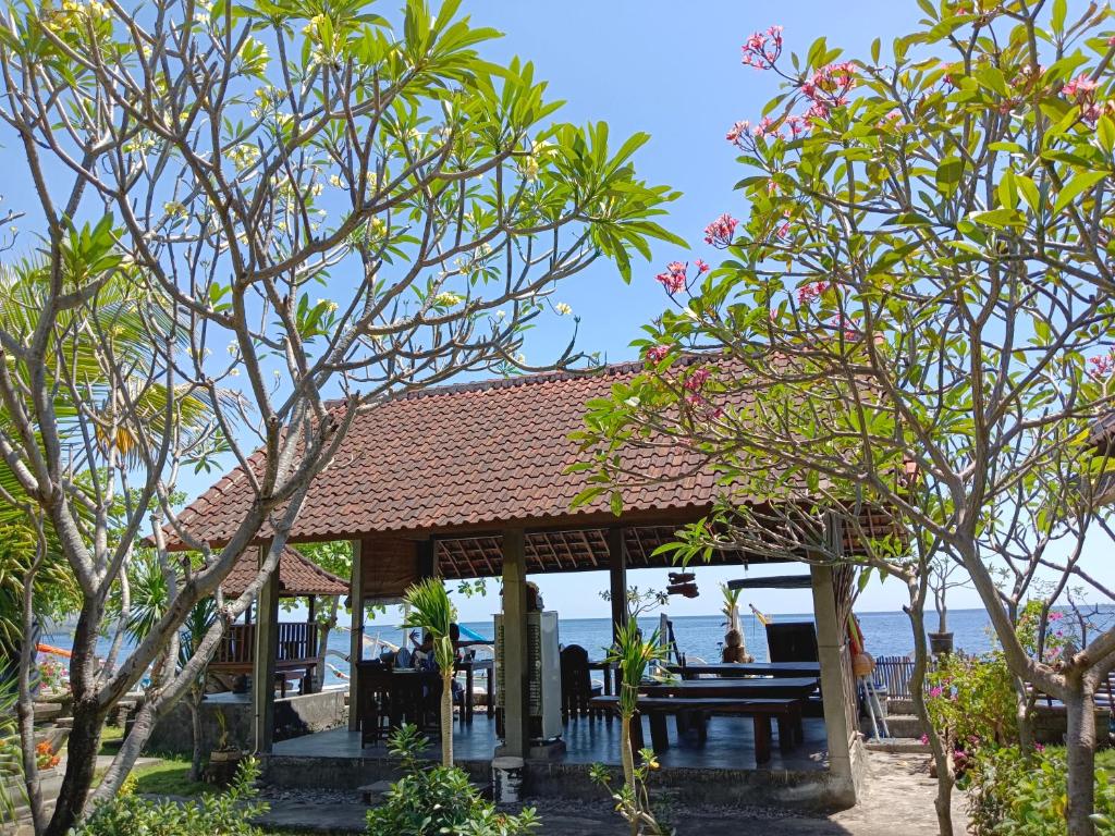 beach side Amed Delem family