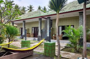 citiz house & hostel