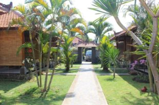Global Dive Lodges