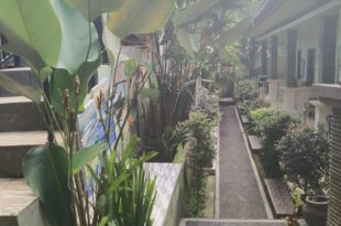 green view downtown