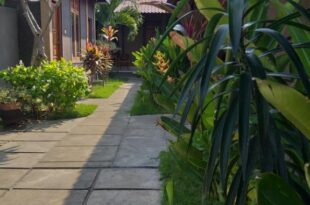 Griya Ayu Homestay Pemuteran