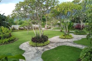 Krisna Homestay