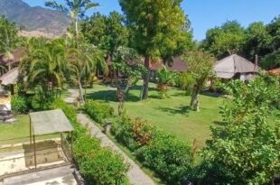 The Beach Bungalows & Turtle Sanctuary