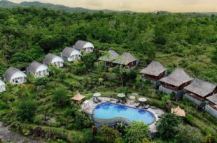 The Kleep Jungle Resort