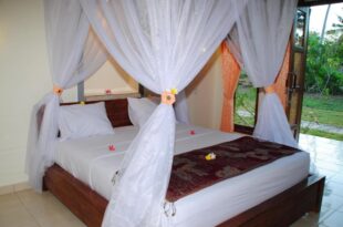Tiara Homestay Pemuteran Bali