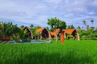 Umma Bali Menjangan Retreat