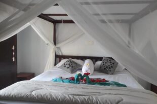 Sugi Gede Homestay