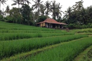 Alam Balian Hidden Paradise