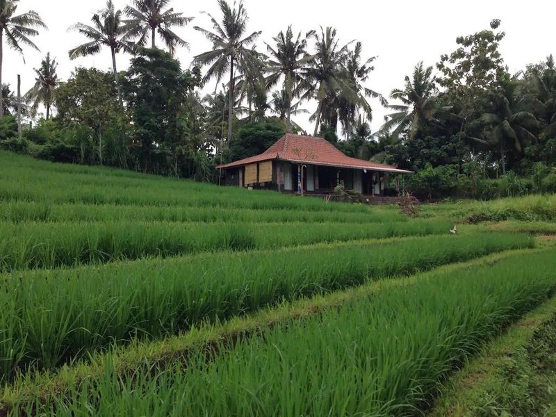 Alam Balian Hidden Paradise