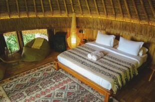 Alpaca Lodge