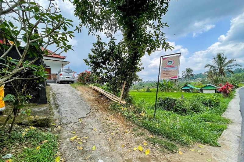 Anish Homestay Jatiluwih Tabanan