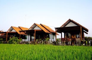Arys Residence