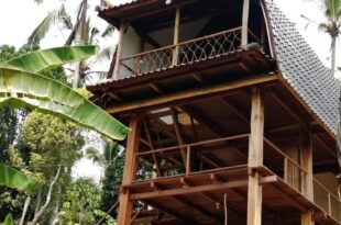 Bali jungle cabin