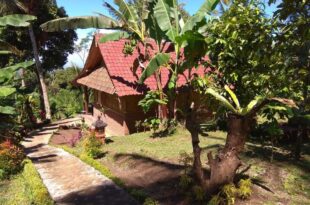 Bali mountain forest cabin