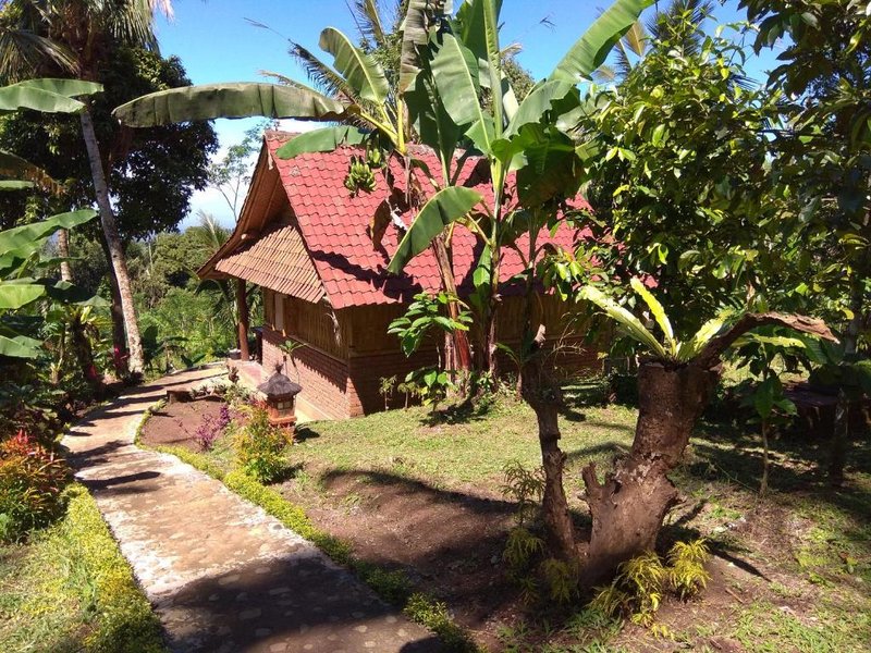 Bali mountain forest cabin