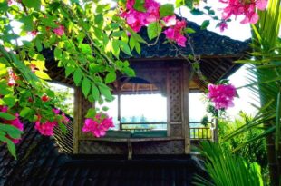 Bali Mountain Retreat