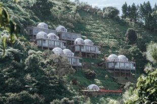 Damar Langit Resort