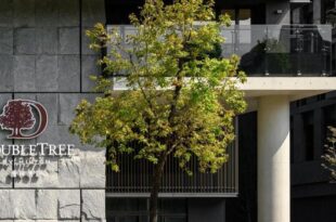 DoubleTree By Hilton Taipei Zhongshan