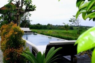 D’Sawah Villa