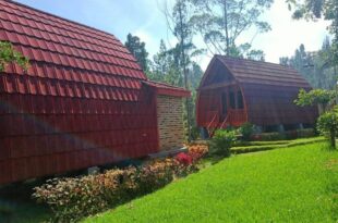 Ecolodge Bimala by Sapa Raja Hotels
