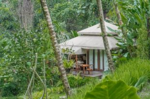 Galalima Glamping by AGATA