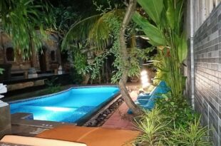 Green Palace Homestay